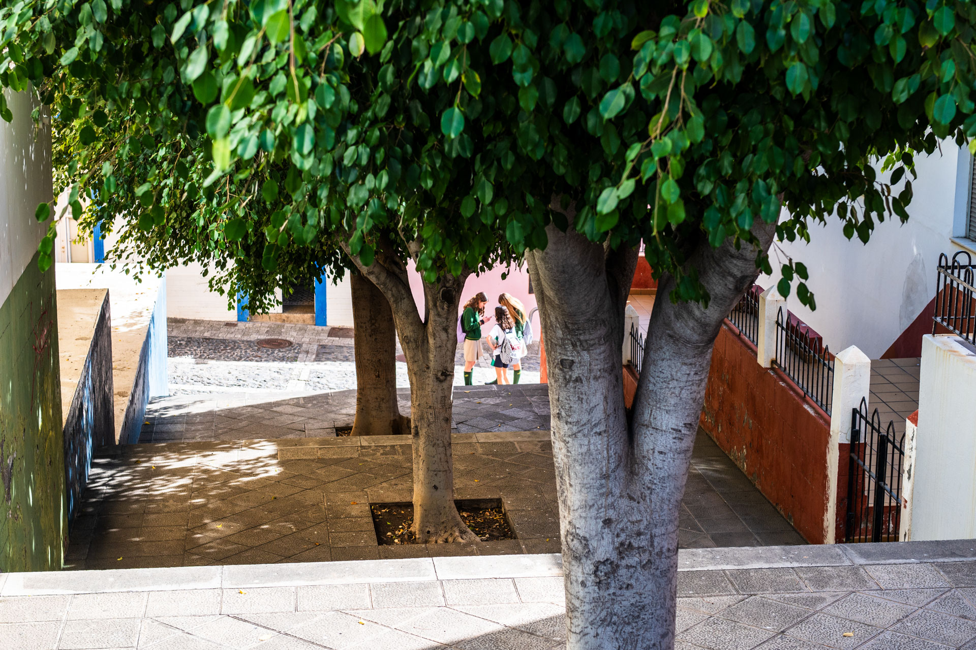 Santa Cruz